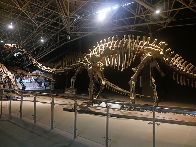 Chuxiong Lufeng World Dinosaur Valley