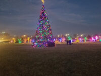 Cicero Community Park Travel Forum Reviews