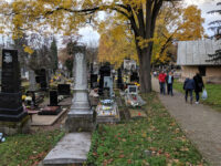 Cimitero evangelico Travel Forum Reviews