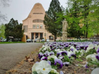Cinema Urania Travel Forum Reviews
