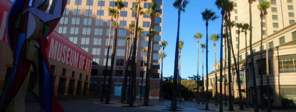 Circle of Palms Plaza Travel Forum Reviews