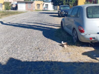 Circuito de Salvatierra Travel Forum Reviews