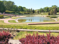 Citadel Park Travel Forum Reviews