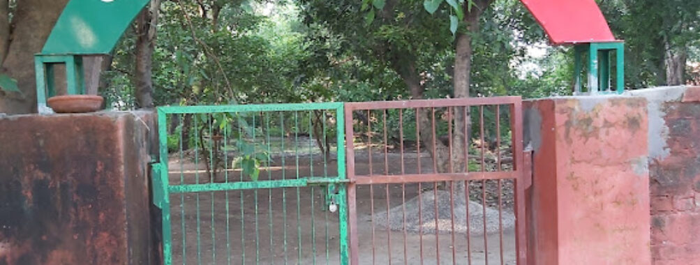 City Bird Sanctuary 21 Chd Travel Forum Reviews