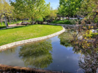 City Creek Park Travel Forum Reviews