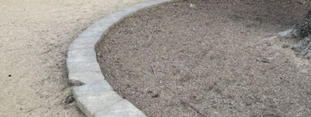 City Hall Dog Park Travel Forum Reviews