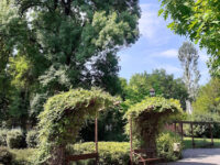 City Park Travel Forum Reviews