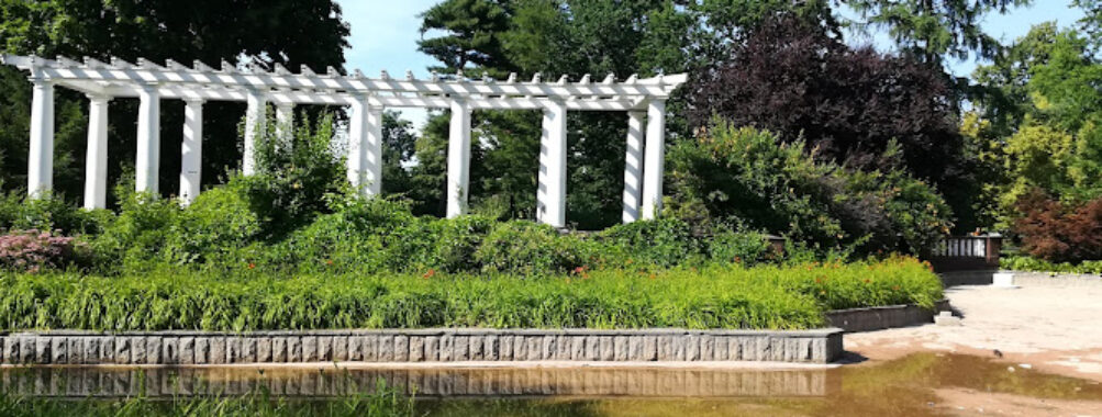 City Park in Legnica Travel Forum Reviews