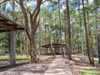 Ciudad de los Niños en Parque El Picacho Travel Forum Reviews