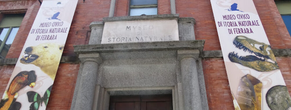 Civic Museum of Natural History of Ferrara Travel Forum Reviews
