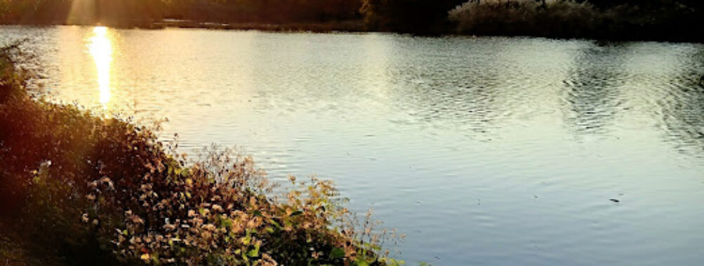 Clarence W Brett Park at Historic New Bridge Landing Travel Forum Reviews