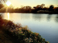 Clarence W Brett Park at Historic New Bridge Landing Travel Forum Reviews