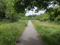Clayhanger Common Travel Forum Reviews