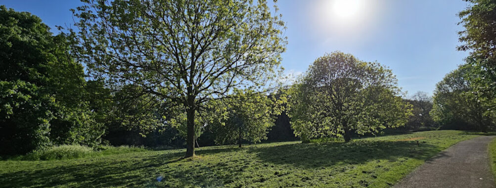 Cleadon Park Travel Forum Reviews
