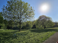 Cleadon Park Travel Forum Reviews