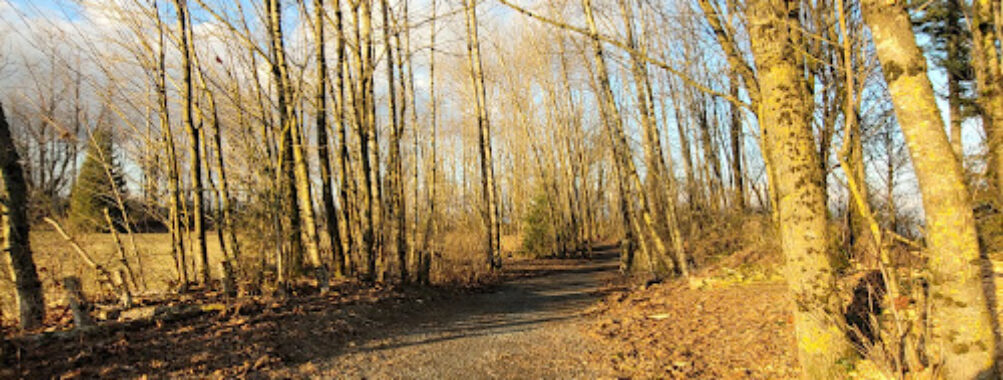 Clearbrook Park Travel Forum Reviews