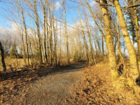 Clearbrook Park Travel Forum Reviews