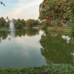 Clement Town Lake