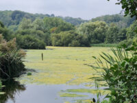 Clennon Valley Lakes Travel Forum Reviews