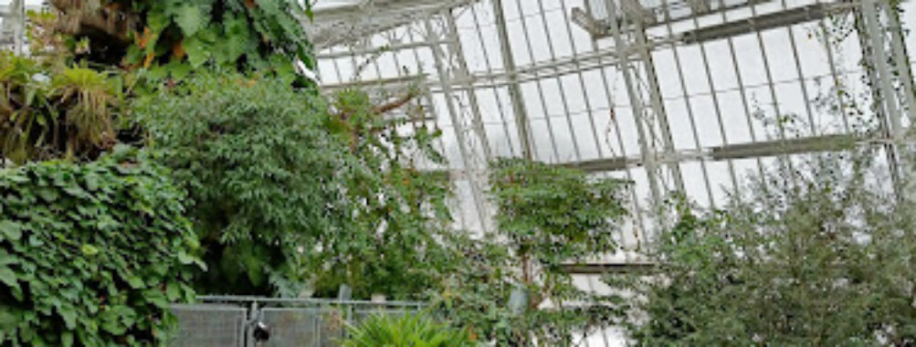 Cleveland Botanical Garden Travel Forum Reviews