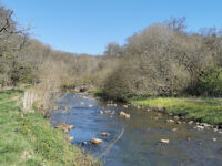 Clyde Valley Woodlands National Nature Reserve (Cartland Crags) Travel Forum Reviews