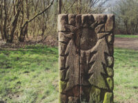 Cock Robin Wood Travel Forum Reviews