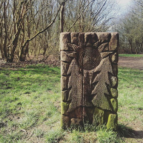 Cock Robin Wood