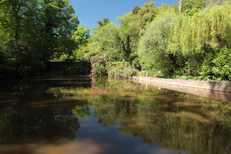 Cockington Country Park