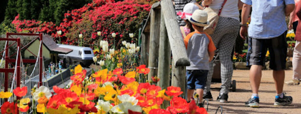 Cockington Green Gardens Travel Forum Reviews