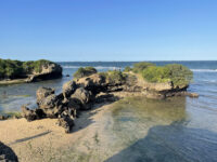 Coco Beach Cliff Travel Forum Reviews