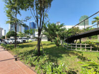 Coconut Park Travel Forum Reviews