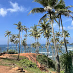 Coconut Tree Hill – Mirissa