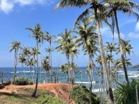 Coconut Tree Hill - Mirissa Travel Forum Reviews