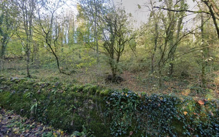 Coed y Bwl Nature Reserve