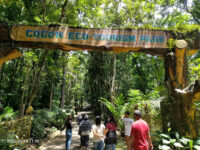 Cogon Eco-Tourism Park Travel Forum Reviews