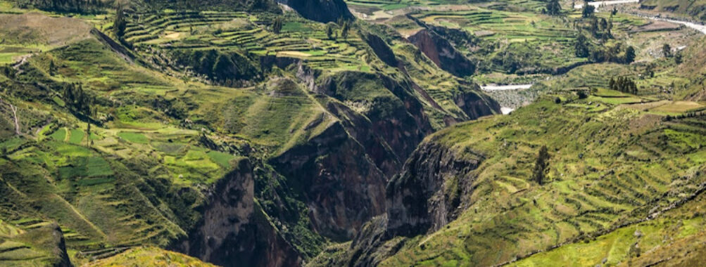 Colca Canyon Travel Forum Reviews