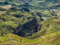 Colca Canyon Travel Forum Reviews
