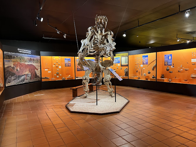 Colchagua Museum