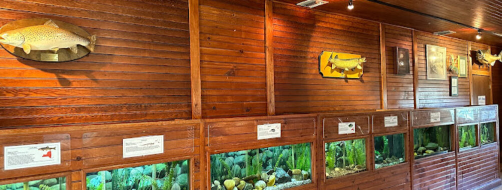 Cold Spring Harbor Fish Hatchery & Aquarium Travel Forum Reviews