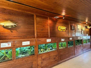 Cold Spring Harbor Fish Hatchery & Aquarium