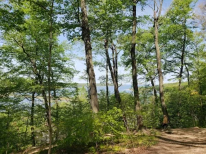 Cold Spring Harbor State Park