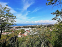 Colle Sant' Alfonso Travel Forum Reviews