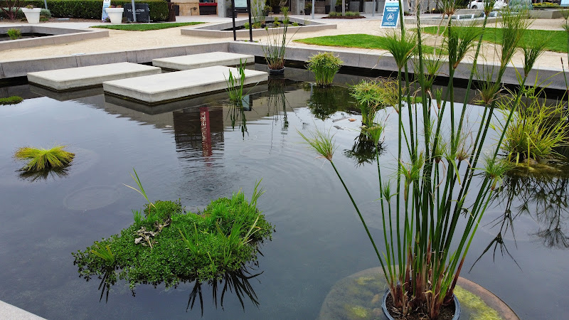 Collection Park