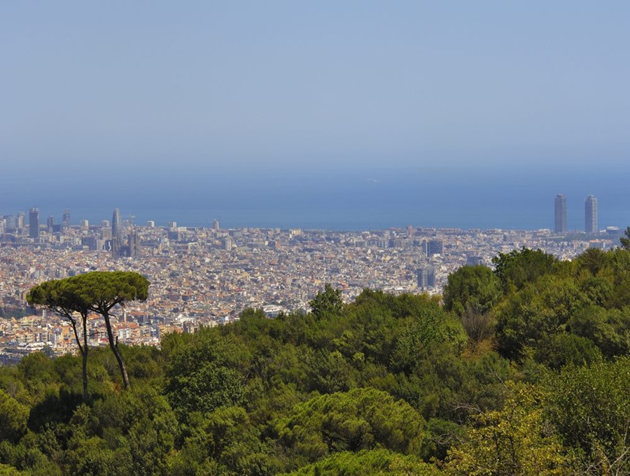 Collserola Natural Park