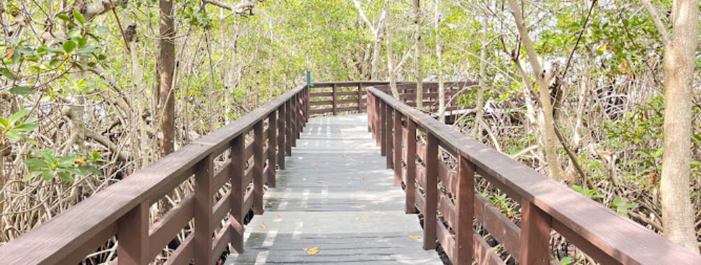 Colohatchee Park and Dog Park Travel Forum Reviews
