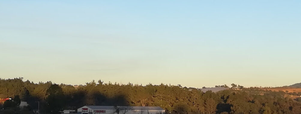 Colonia Puerto Rico Travel Forum Reviews