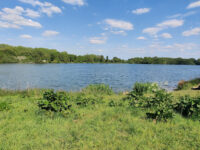 Colwick Country Park Travel Forum Reviews