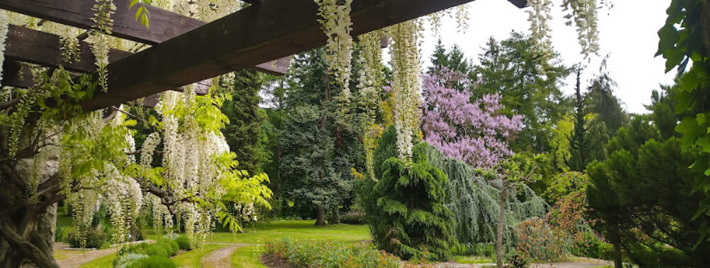 Comenius University Botanical Garden Travel Forum Reviews