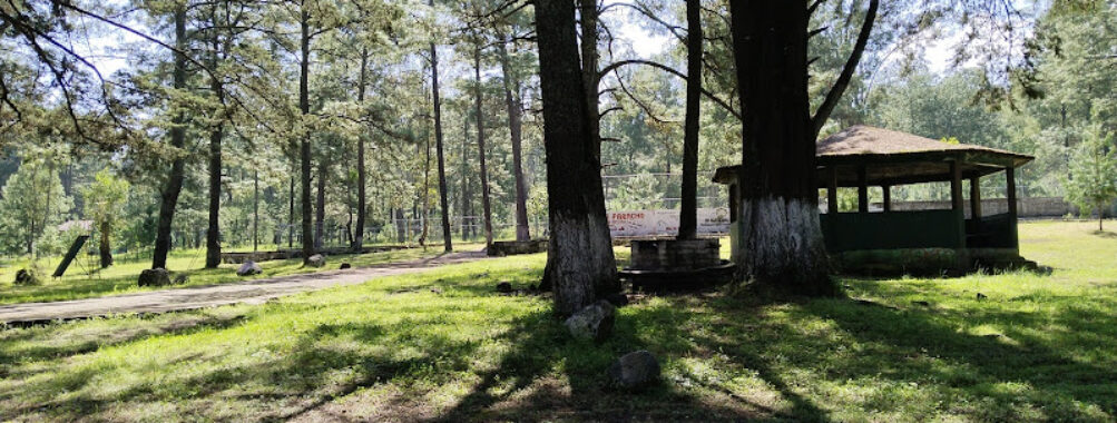 Comunal Tata vasco Park Travel Forum Reviews
