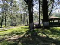 Comunal Tata vasco Park Travel Forum Reviews